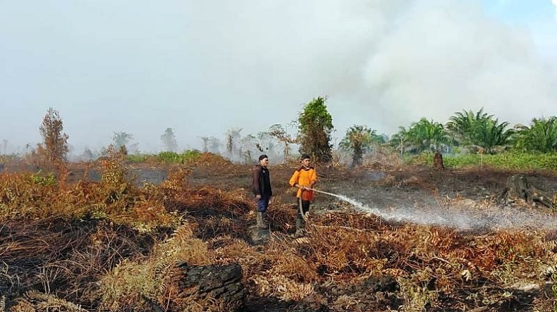 title Luas Karhutla di Desa Gunong Pulo Aceh Barat Capai 3 Ha, Pemadaman Terus Dilakukan Luas Karhutla di Desa Gunong Pulo Aceh Barat Capai 3 Ha, Pemadaman Terus Dilakukan