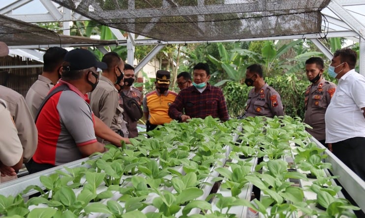 Jelang Pensiun, Para Anggota Polisi Ini Belajar Bercocok Tanam 