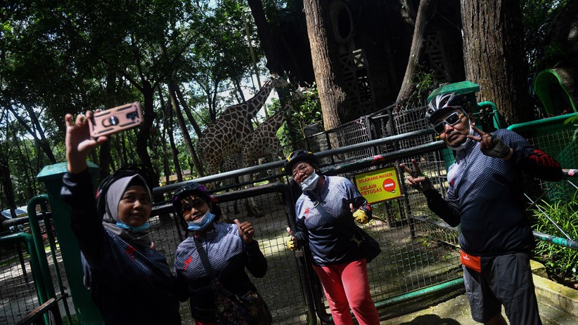 Taman Margasatwa Ragunan Kembali Dibuka, Kapasitas Pengunjung 5.000 Orang - Bagian 4