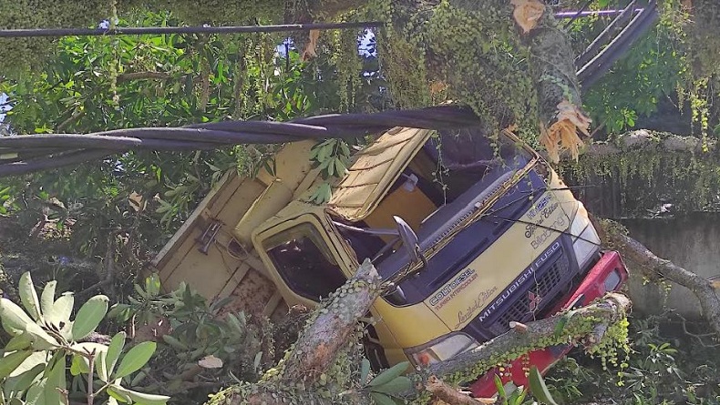 Pohon Tumbang Timpa Truk dan Rumah Warga di Sikka, 1 Orang Terluka