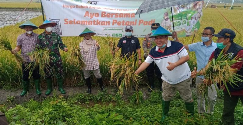 title Harga Gabah Anjlok, Global Wakaf-ACT Gelar Panen Raya di Blora Harga Gabah Anjlok, Global Wakaf-ACT Gelar Panen Raya di Blora