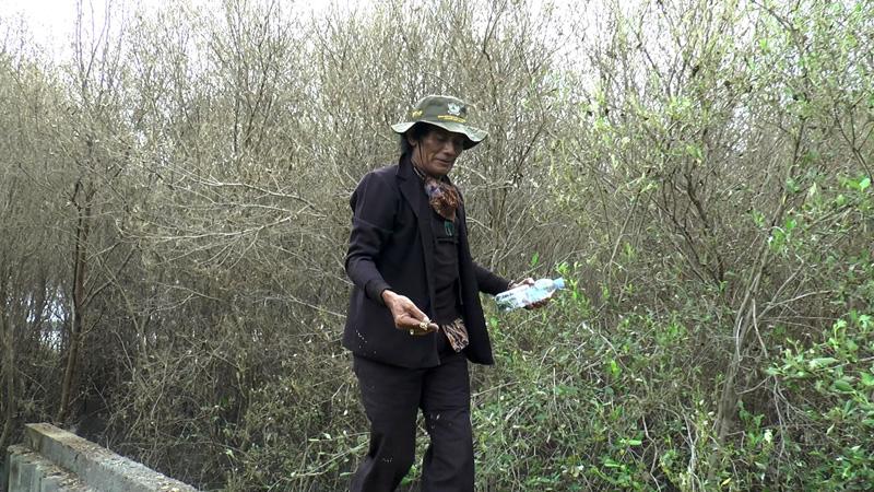 Berkah Serangan Ulat Brayo, Peneliti: Kepompong Bisa Jadi Bahan Baku Sutra Berkualitas