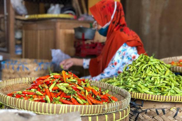 Waduh, Harga Cabai di Yogya Tembus Rp120.000 per Kilogram