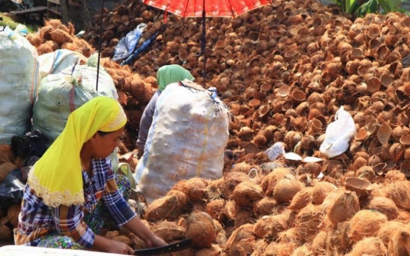 Ditopang Kelapa Tujuan China, Ekspor Pertanian Sumsel Melejit 74,80 Persen