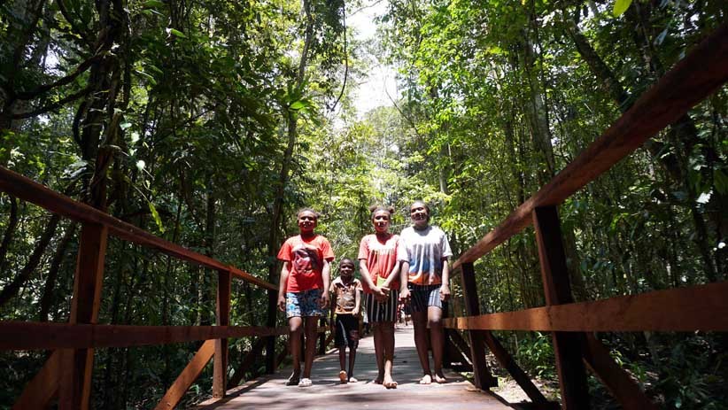 Mengamati Satwa Endemik Papua dari Jembatan Sepanjang 3,2 Km di Hutan Klaso - Bagian 2