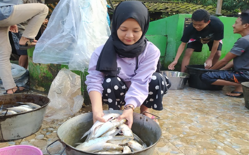 Menengok Sentra Ikan Pindang di KBB, Warisan Turun Temurun sejak Setengah Abad Lalu