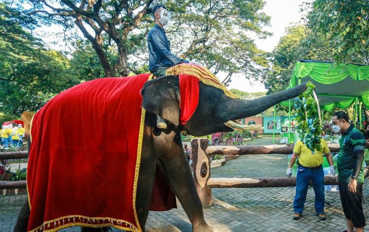 Wali Kota Eri Cahyadi Jadi Bapak Asuh Gajah dan Komodo KBS, Armuji Jalak Bali 