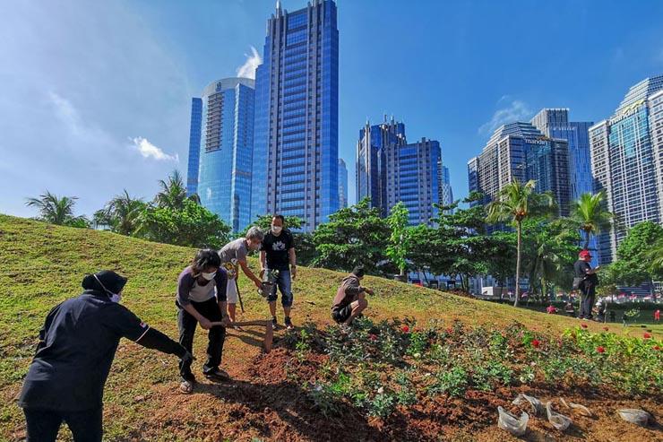  PDIP Tanam 24 Jenis Pohon di Kawasan Gelora Bung Karno - Bagian 4