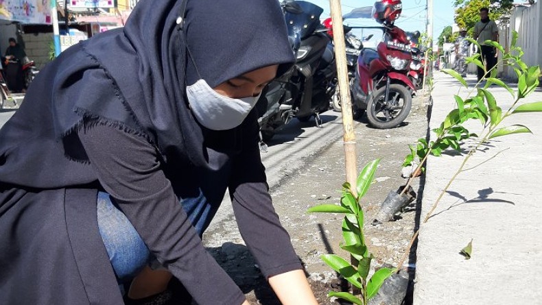Tergenang saat Musim Hujan, Sepanjang Tepi Jalan Sudirman Gorontalo Ditanami Ratusan Bibit Pohon 