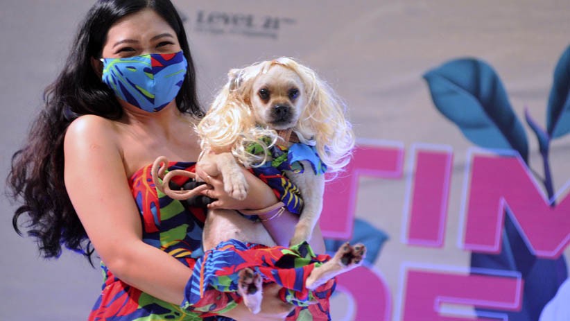 Penampilan Lucu Anjing Memakai Kostum - Bagian 1