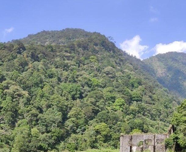 Begini Serunya Berwisata di Kawasan Gunung Puntang