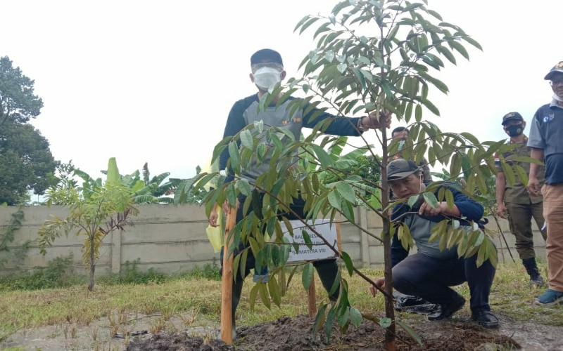 Hari Air Sedunia, Ini yang Dilakukan untuk Atasi Masalah Ketersedian Air