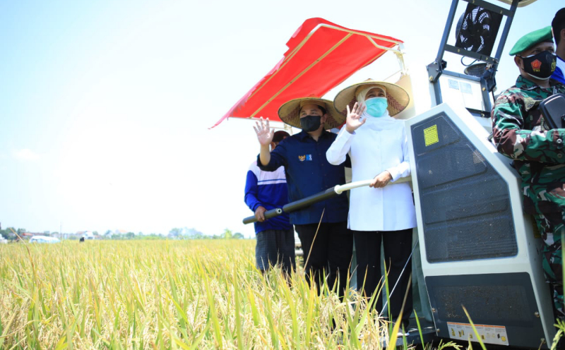 Jatim Surplus Beras, Gubernur Khofifah: Tak Perlu Mengimpor 