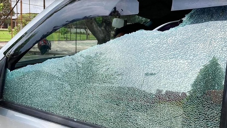 Kaca Mobil Pecah, Petugas BKSDA Dilempari Batu saat Hendak Sita Orangutan