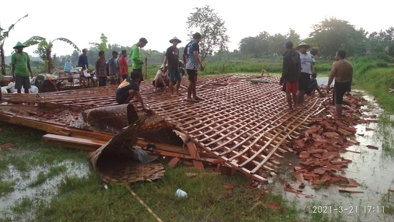 Puting Beliung Terjang Blora, Belasan Rumah Rusak dan Sejumlah Pohon Tumbang