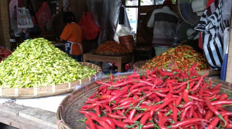 Masuki Hari Pertama Puasa Ramadan, Harga Cabai Merah di Ambon justru Turun 