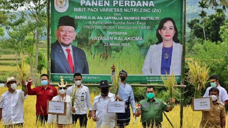 title Panen Raya di Sumba Barat Daya, Ketua DPD La Nyalla: Impor Beras Bukan Solusi Panen Raya di Sumba Barat Daya, Ketua DPD La Nyalla: Impor Beras Bukan Solusi