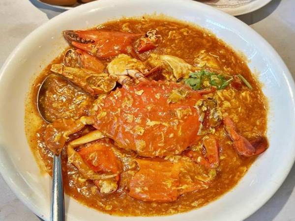 Foto: IG@thehedgehogknows