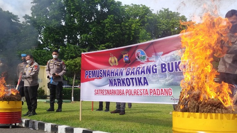 Polresta Padang Bakar 30 Kg Ganja Kering dari Pengungkapan Satu Kasus