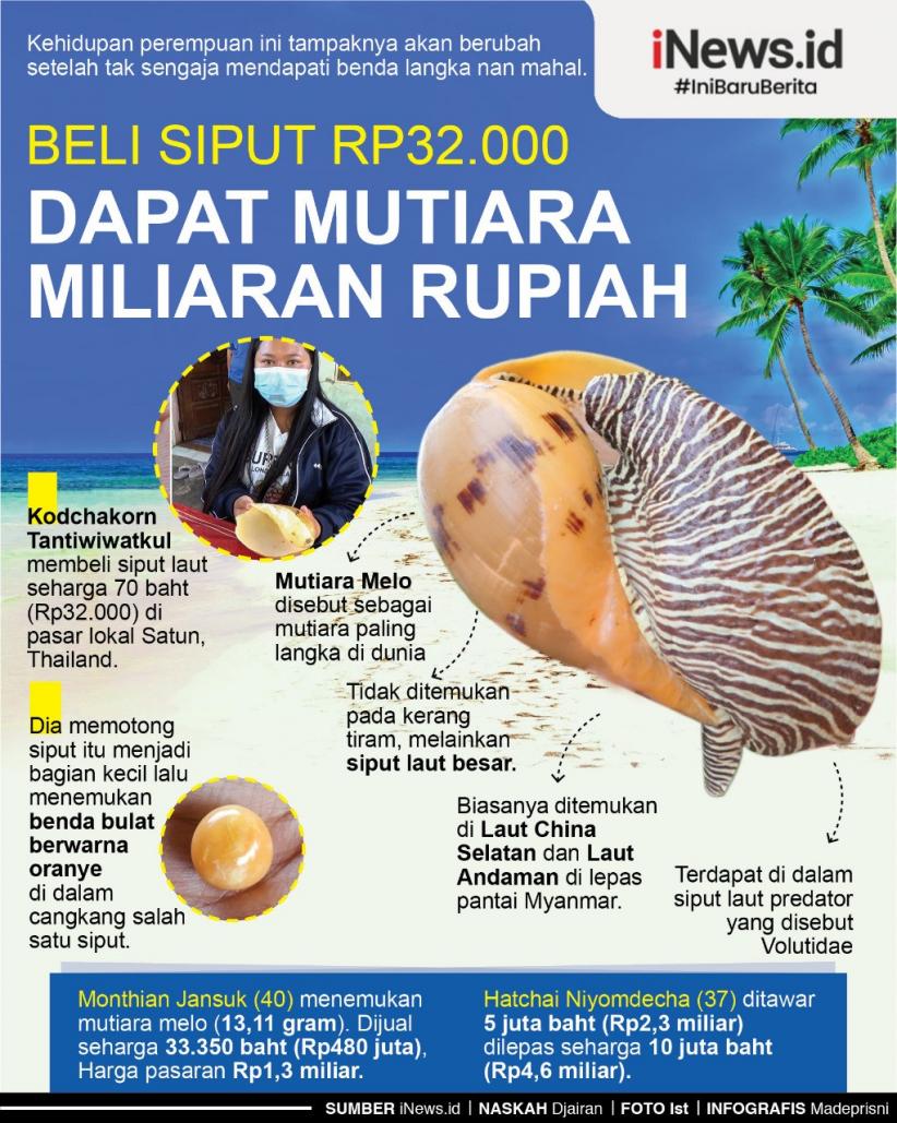 Infografis Beli Siput Rp32.000 Malah Dapat Mutiara Bernilai Miliaran Rupiah