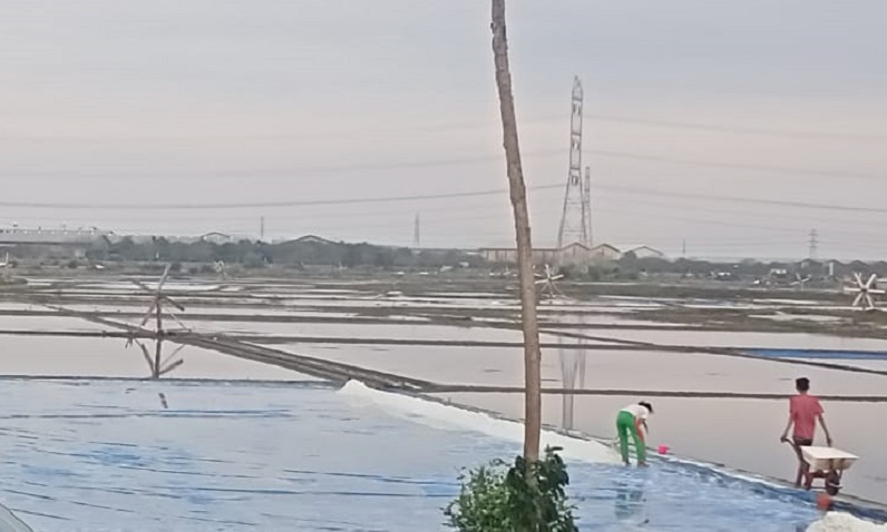 Khawatir Petani Rugi, HMPG Minta Pemerintah Kaji Ulang Kebijakan Impor Garam 