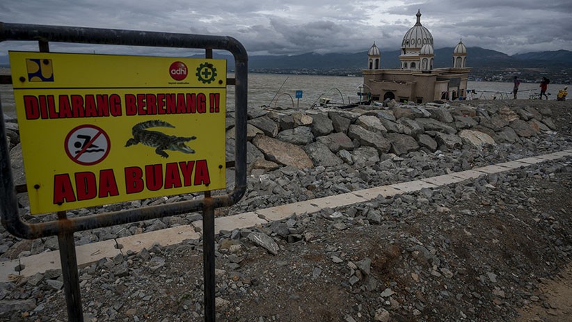 Dilarang Berenang! Pantai di Palu Jadi Habitat Buaya dan Telah Memakan Korban - Bagian 2