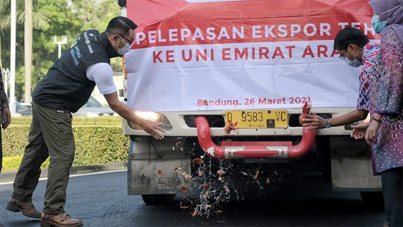 Jabar Juara! Ridwan Kamil Melepas Ekspor 20 Ton Teh ke Uni Emirat Arab - Bagian 2