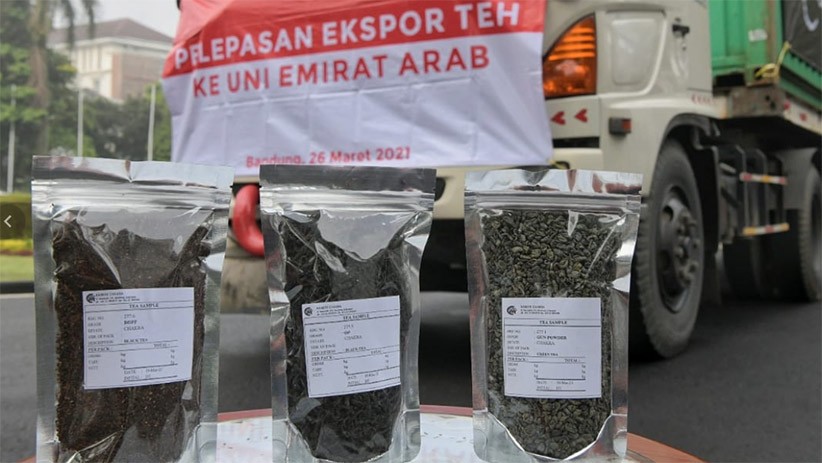 Jabar Juara! Ridwan Kamil Melepas Ekspor 20 Ton Teh ke Uni Emirat Arab - Bagian 3