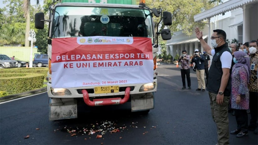 Jabar Juara! Ridwan Kamil Melepas Ekspor 20 Ton Teh ke Uni Emirat Arab - Bagian 1