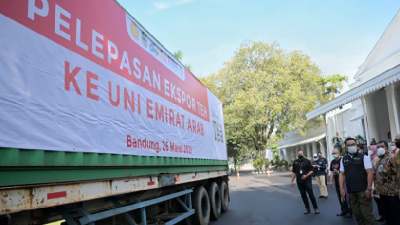 Jabar Juara! Ridwan Kamil Melepas Ekspor 20 Ton Teh ke Uni Emirat Arab - Bagian 4