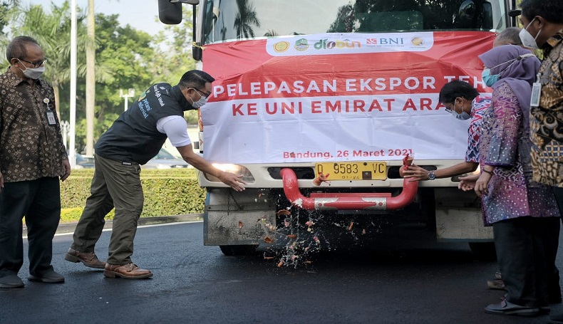 Ridwan Kamil Lepas Ekspor 20 Ton Teh Jabar ke Uni Emirat Arab