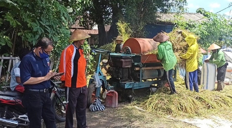Mantap, Bulog Diminta Serap 15.000 Ton Gabah Petani Karanganyar