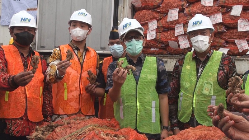 Mengandung Bakteri Berbahaya, 287 Ton Jahe Impor Dimusnahkan