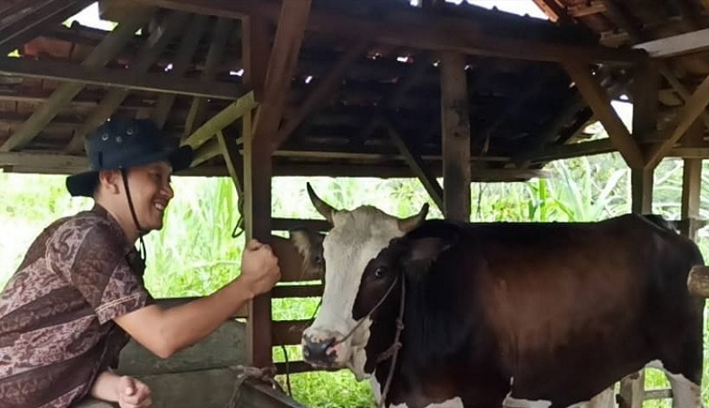 Ini Penyebab Harga Sapi di Indonesia Terus Bergejolak