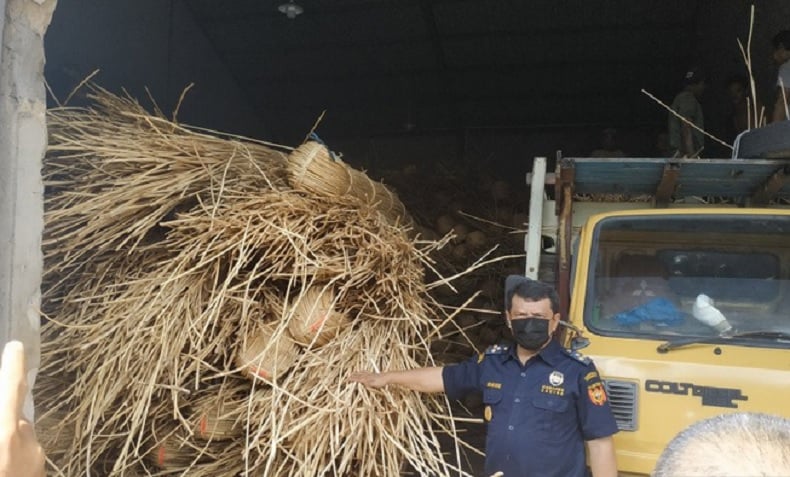 Bea Cukai Cegat Kapal di Perairan Kalbar, 100 Ton Rotan Akan Diselundupkan ke Malaysia