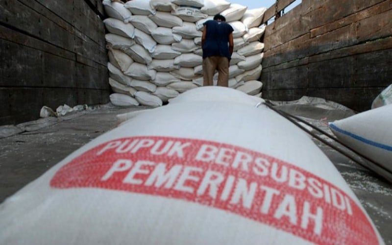 title Petani di Sumsel Tak Masalahkan Subsidi Pupuk Dihapus, Simak Alasannya Petani di Sumsel Tak Masalahkan Subsidi Pupuk Dihapus, Simak Alasannya