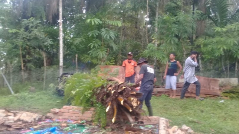 Rumah Warga Agam Hancur Usai Ditimpa Pohon Sawit yang Tumbang