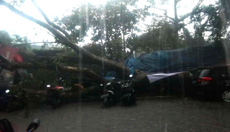 title Pohon Tumbang Timpa Warung Makan di Bandung, 5 Warga Luka-luka Pohon Tumbang Timpa Warung Makan di Bandung, 5 Warga Luka-luka