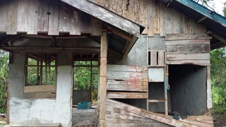 Sejumlah Gajah Liar Kembali Merusak Kebun dan Rumah Warga di Nagan Raya