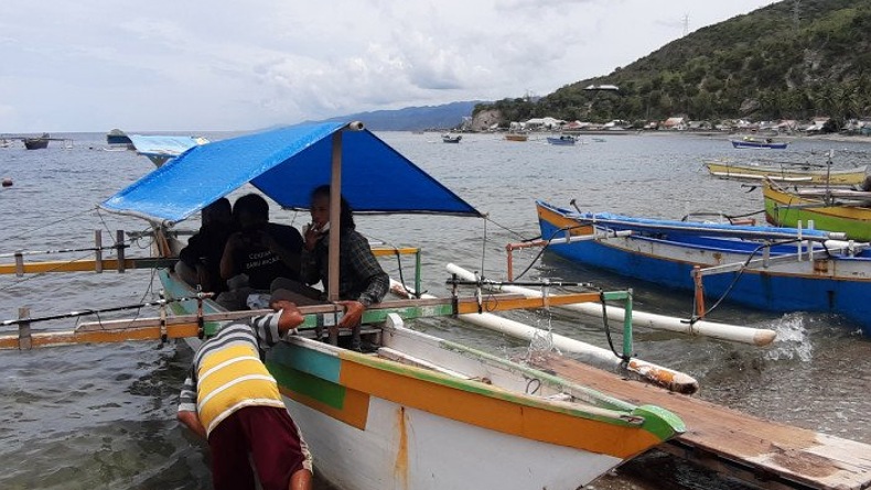 Akses Mudah, Wisata Hiu Paus Gorontalo yang Terbaik di Indonesia