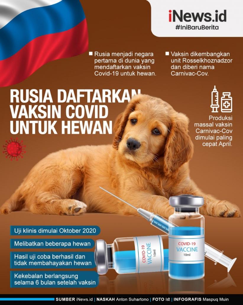Infografis Rusia Daftarkan Vaksin Covid Khusus Hewan Pertama di Dunia