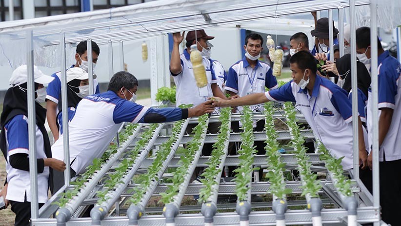 Pelatihan Budi Daya Tanaman Hidroponik - Bagian 2