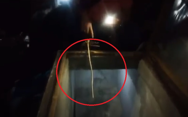 Kabel untuk Gantung Diri Putus, Bapak Satu Anak Ini Jatuh dari Lantai 2