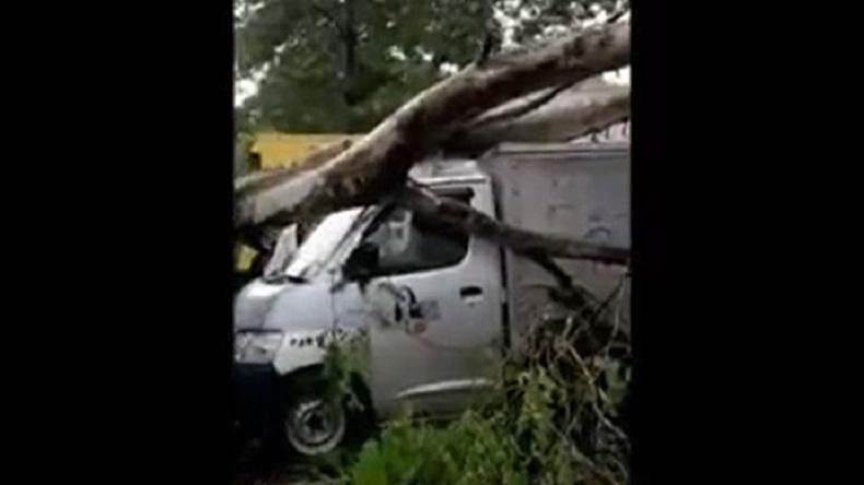 title Angin Kencang, 5 Mobil Kargo dan 1 Motor di Bandara Sultan Hasanuddin Makassar Tertimpa Pohon Angin Kencang, 5 Mobil Kargo dan 1 Motor di Bandara Sultan Hasanuddin Makassar Tertimpa Pohon