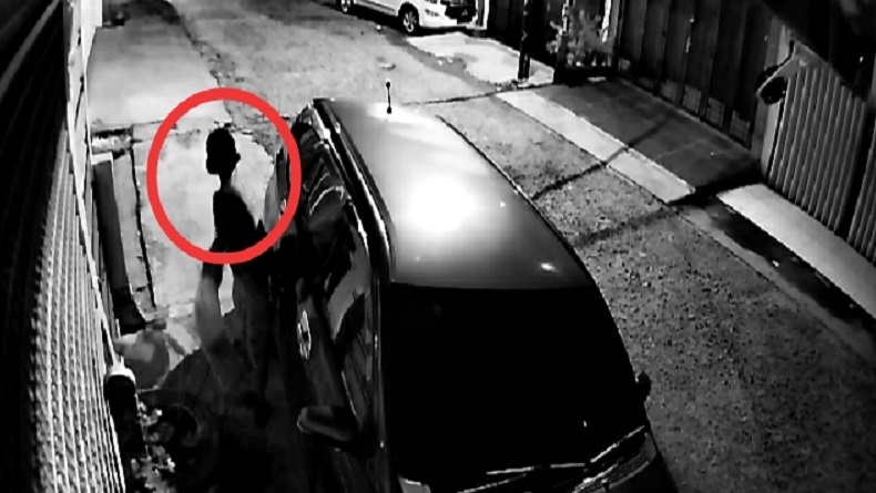 Viral, Aksi Perempuan Curi Bunga di Medan Petisah Terekam Kamera CCTV