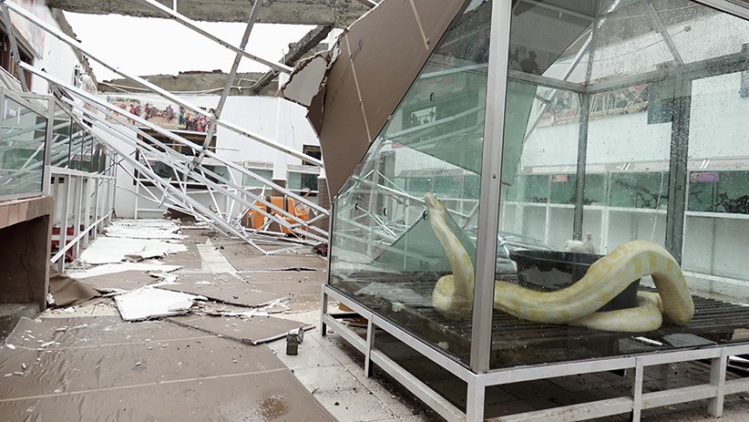 Atap Taman Reptil Purbalingga Roboh Timpa Kandang Ular Sanca Kuning - Bagian 2