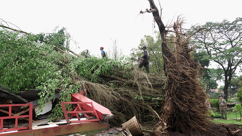 Atap Taman Reptil Purbalingga Roboh Timpa Kandang Ular Sanca Kuning - Bagian 3