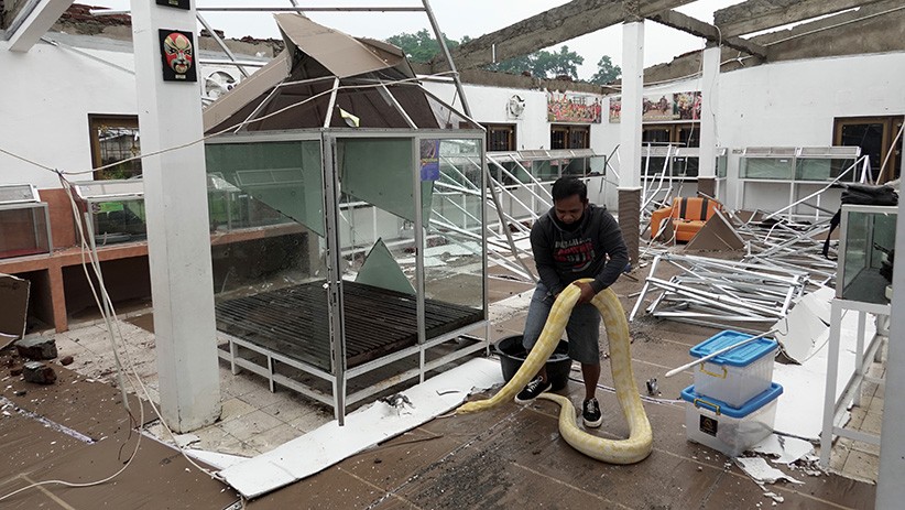Atap Taman Reptil Purbalingga Roboh Timpa Kandang Ular Sanca Kuning - Bagian 1