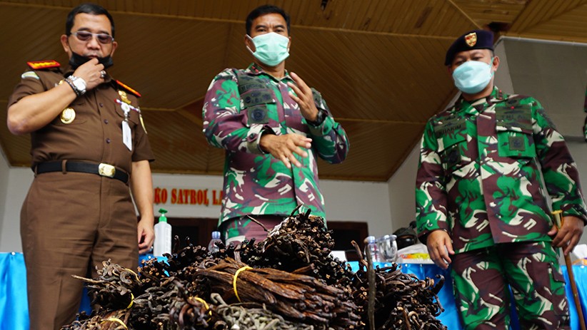 TNI AL Amankan 1 Ton Vanili Ilegal Senilai Rp3 Miliar dari PNG - Bagian 2