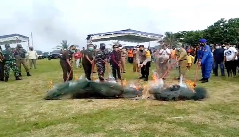  Marak Penjarahan dan Penyelundupan, Lobster di Laut Pangandaran Nyaris Punah